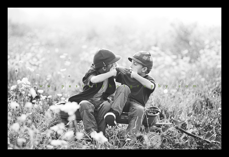 Los Angeles Baby Photography
